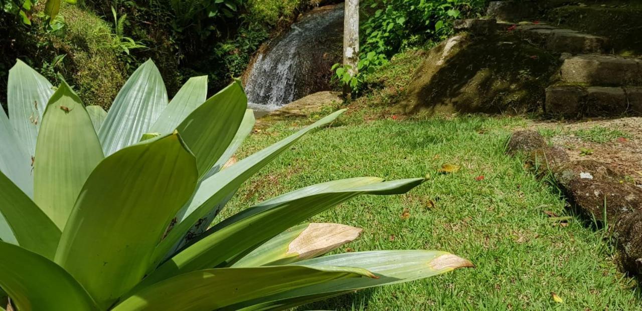 Pousada Vertente Das Aguas Lumiar Exteriér fotografie